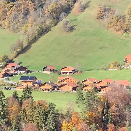 Chalet Park Apartment Mit Sauna Hamam Diemtigen Eksteriør billede